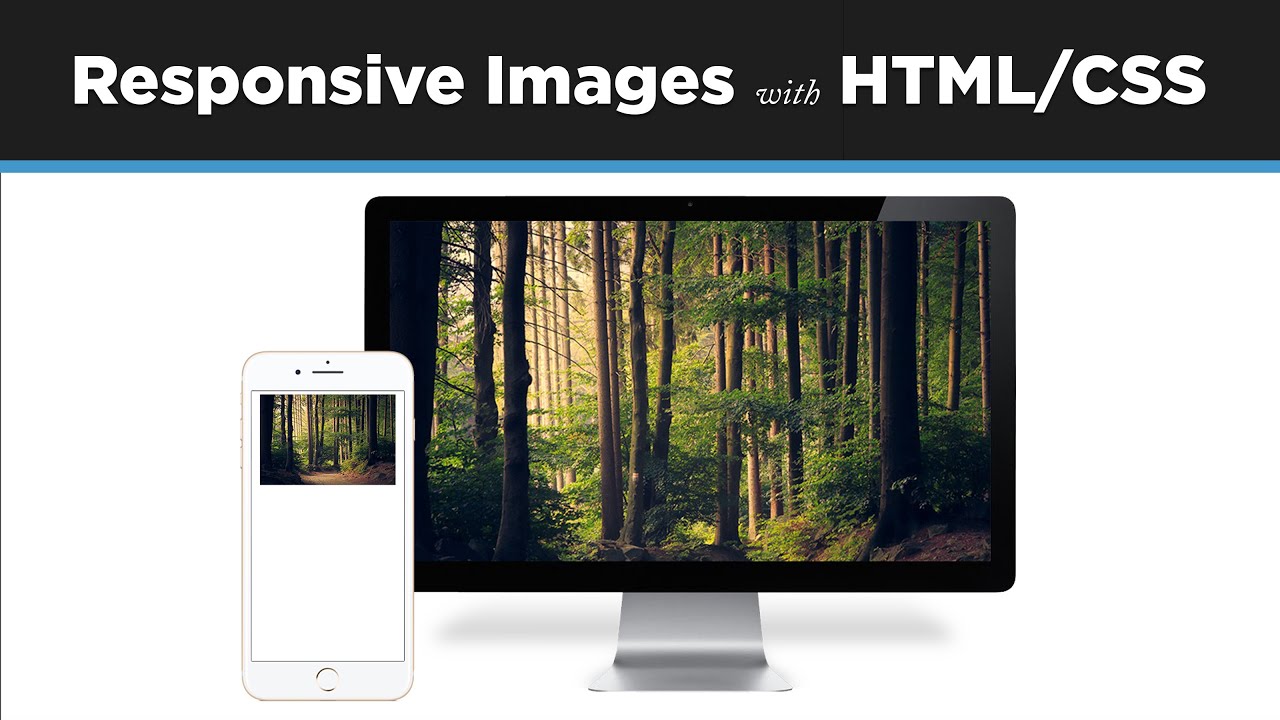 How to Make Images Responsive in HTML & CSS // Responsive  Design