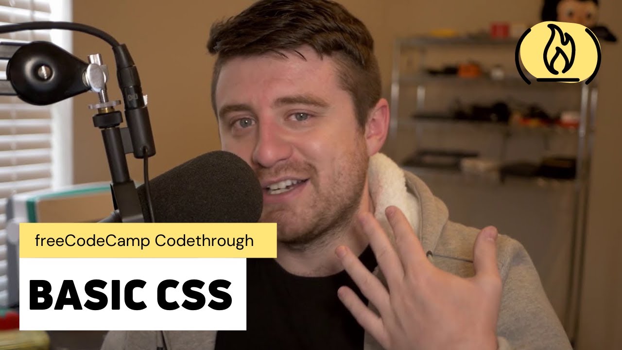 Basic CSS freeCodeCamp Responsive  Design Certification