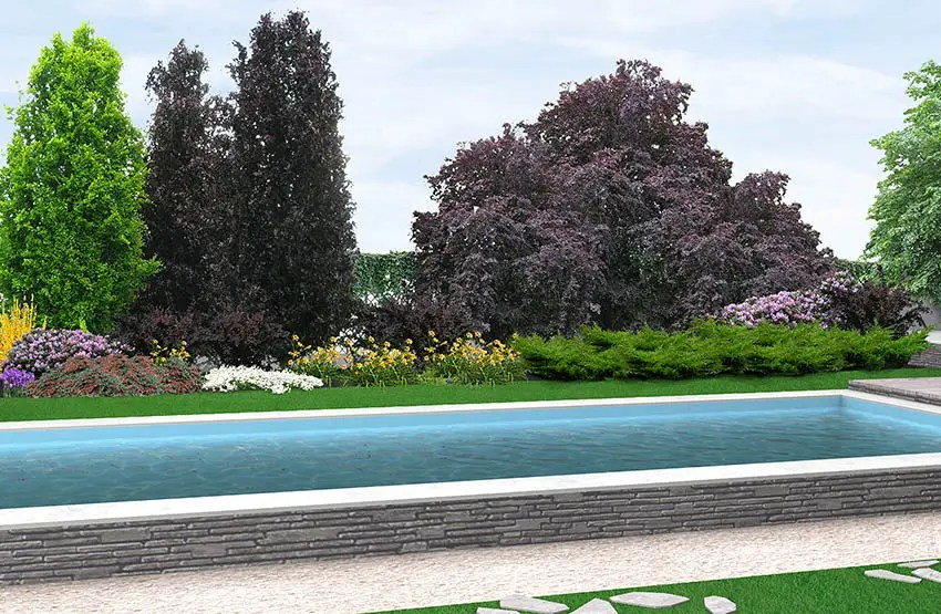 Swimming Pool Sizes (Dimensions & Design Guide) Designing Idea