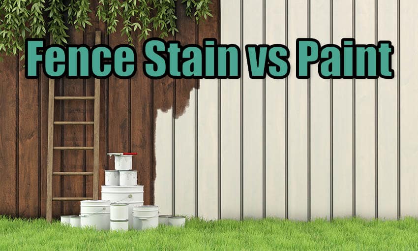 Fence Stain vs Paint (Pros and Cons & Design Guide) Designing Idea