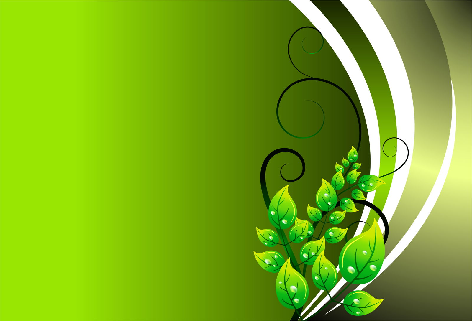 Green Background SVG