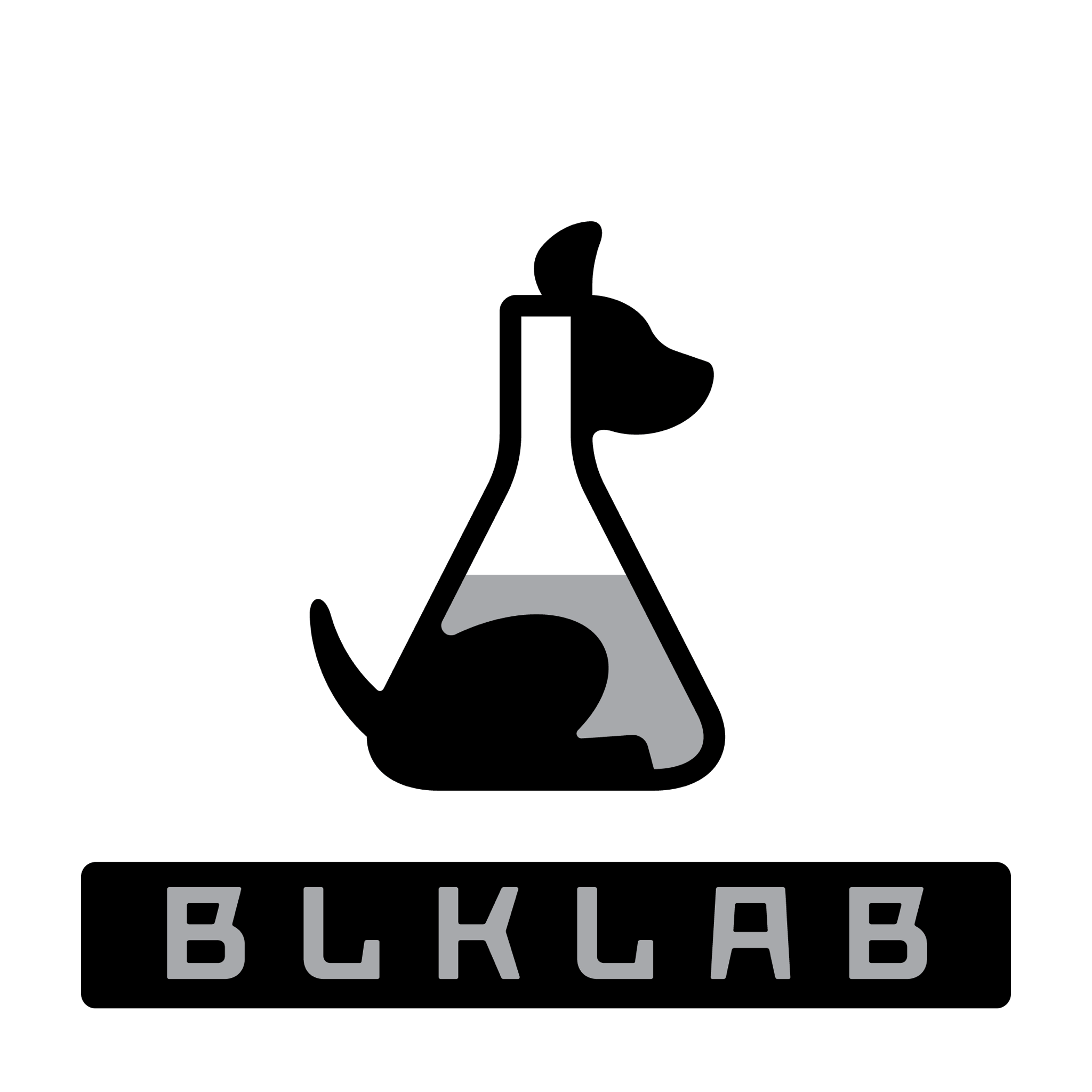 BLKLAB Identity