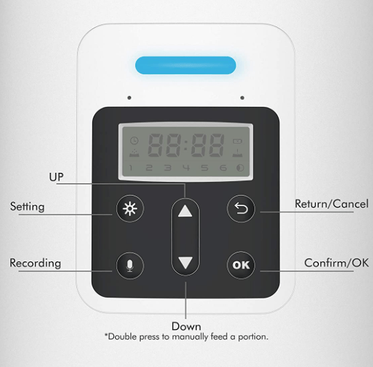 How do I set up the Easy Feed Automatic Pet Feeder? (AF004, PLAF004