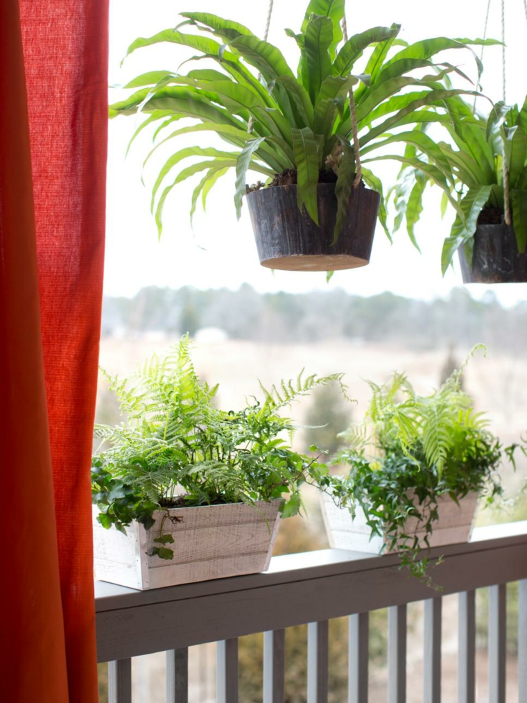 Plante en pot pour terrasse 50 idées fraîches