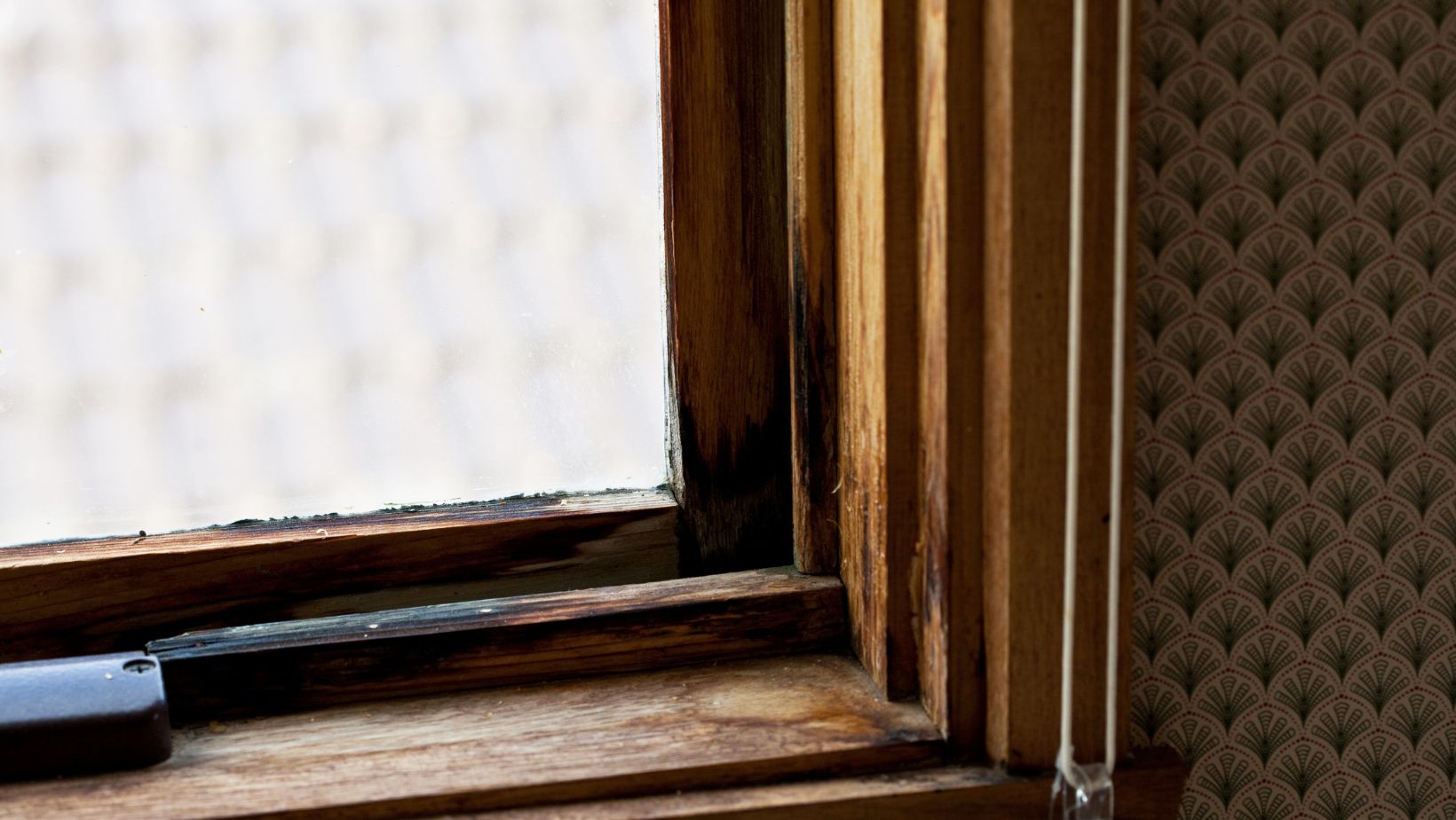 How to Fix Water Damaged Wood? Design Mode 24