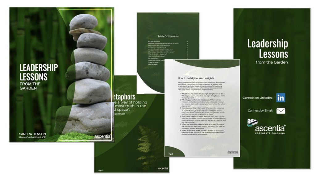 Customer ebook examples Designrr