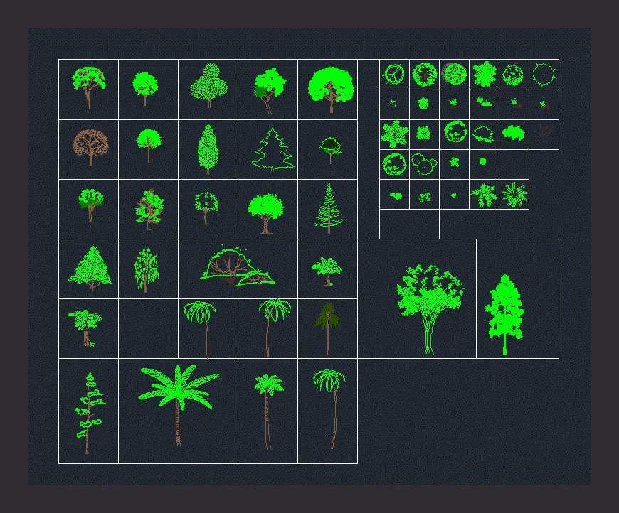 Trees And Shrubs DWG Block for AutoCAD • Designs CAD
