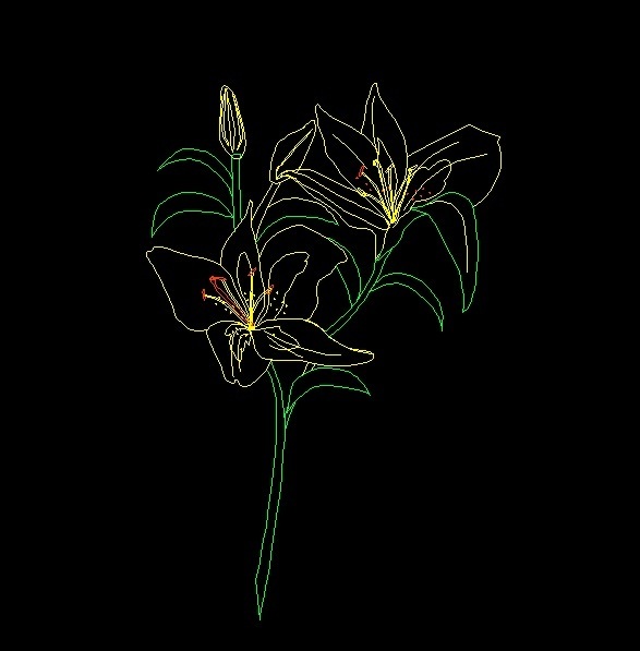 Lilies Flowers Plant Front View Elevation 2D DWG Block For AutoCAD