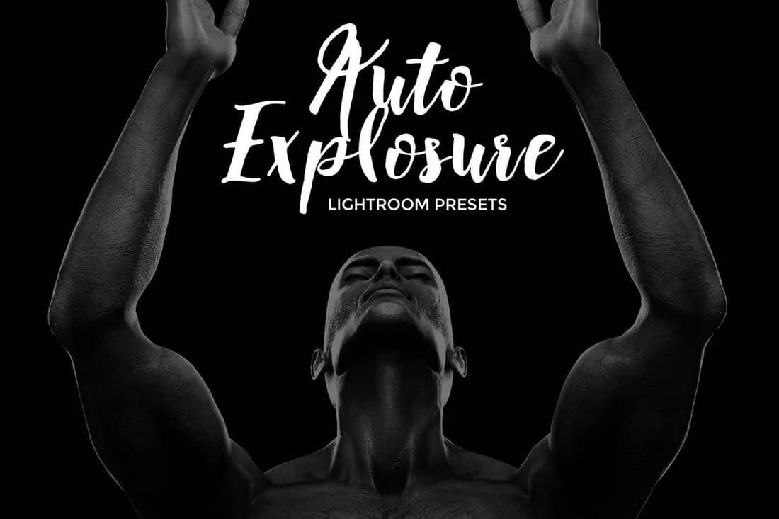 15+ Black & White Lightroom Presets Design Shack