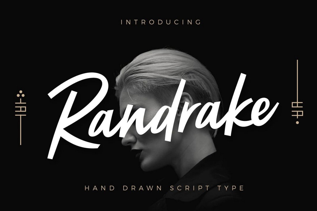 50+ Best Fonts for Logo Design Design Shack
