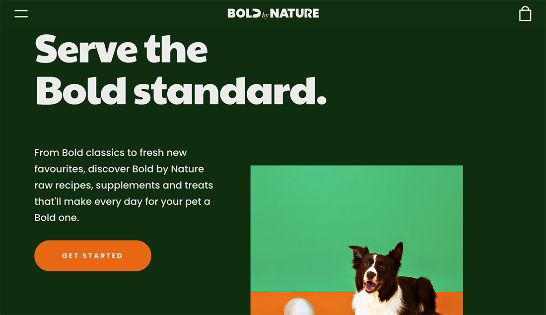 50 Best site Color Schemes of 2023 Shack Design