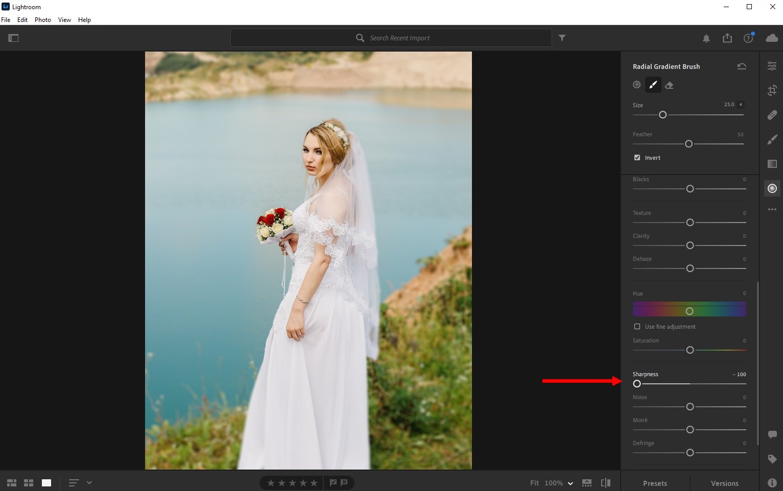 How to Blur a Background in Lightroom (Step by Step Guide) Design Shack