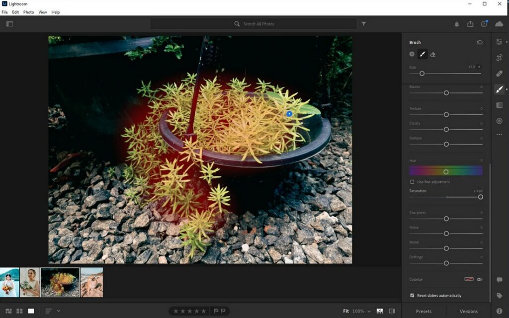 Capture One vs Lightroom Pros & Cons Design Shack