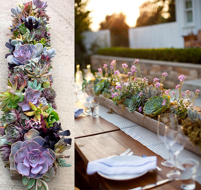 65+ Great EyePopping Succulent Photos For Wedding Ideas