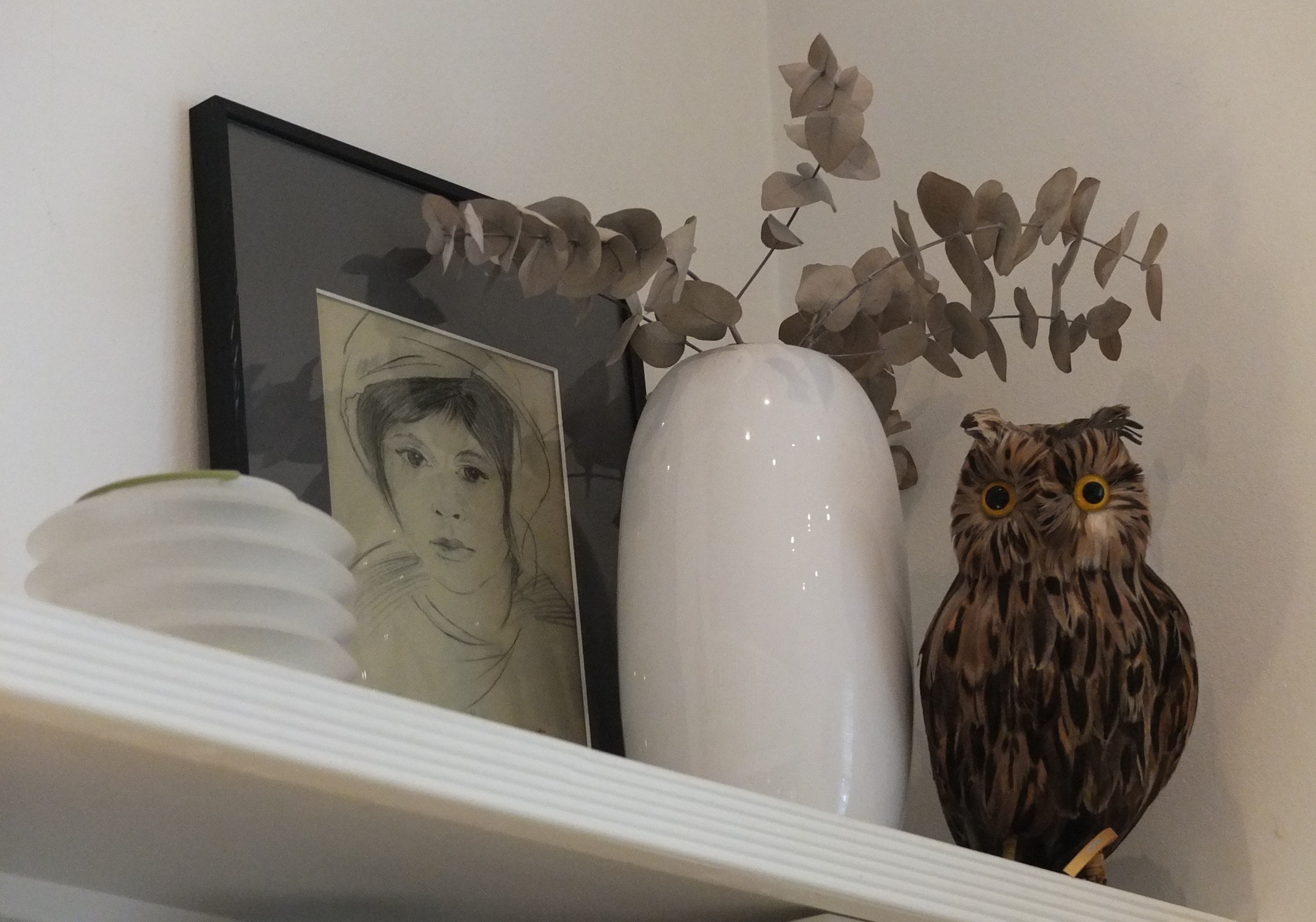 owls house london. owl's house london. Page 25