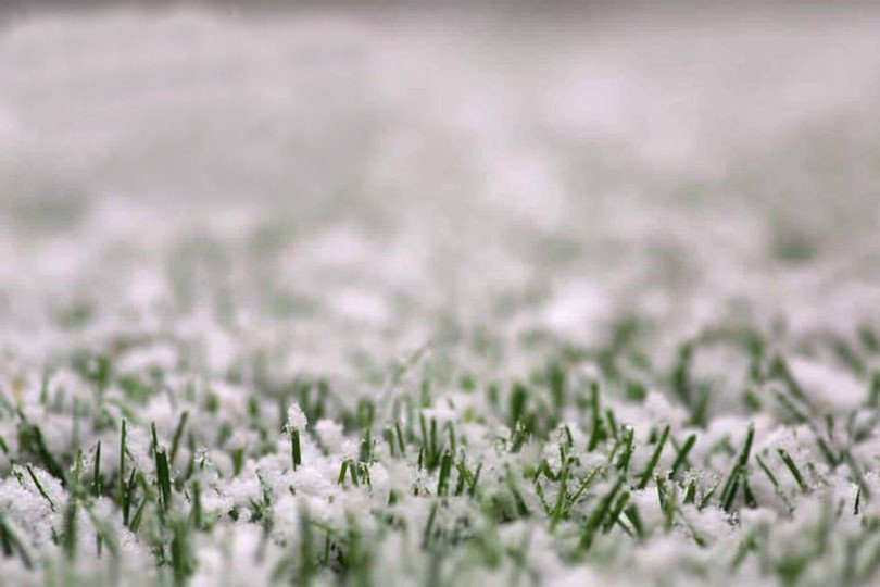 winter and artificial grass effects of snow and spring melt