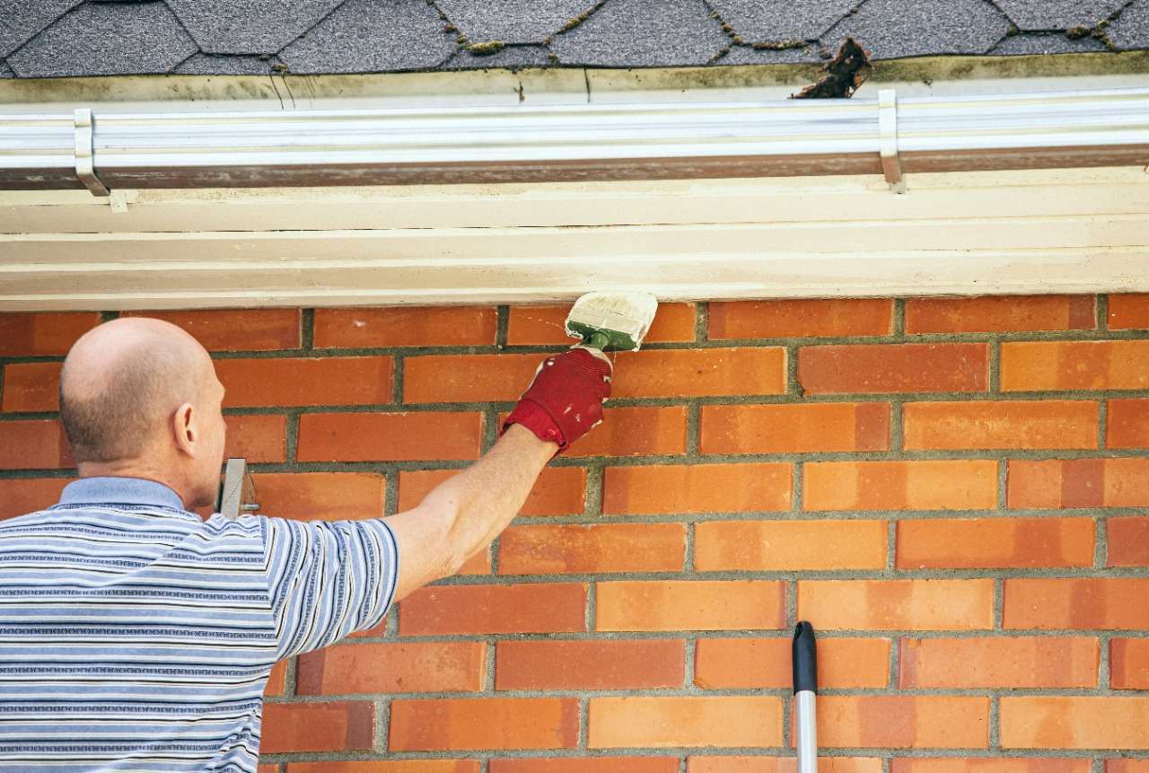 Top exterior house painters in my area Kolkata 2022 Design World