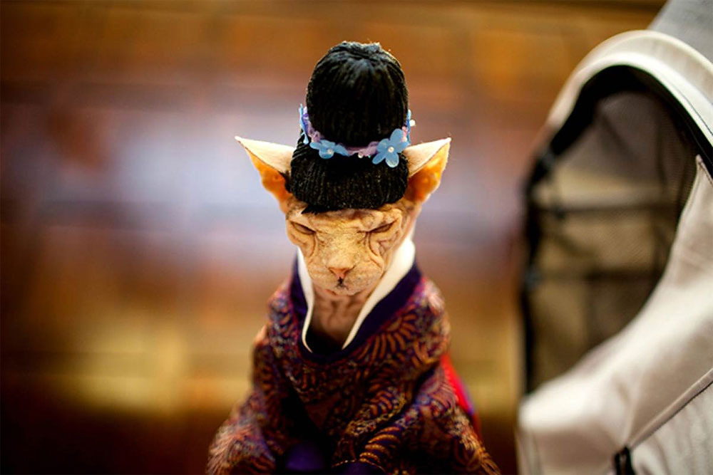 Cat Fashion Show at the Algonquin Hotel Design You TrustDesign You Trust