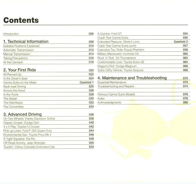 Carma Sutra The AutoErotic Handbook » Design You Trust — Design Daily(08)