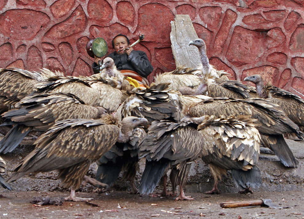 Sky Burial Tibetans Perform Celestial Burial Ceremony (NSFW) » Design