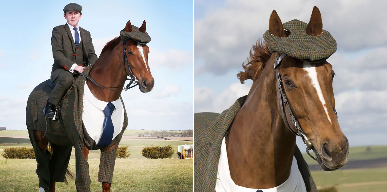This Horse Gets Tailored ThreePiece Suit, Looks Absolutely Dashing