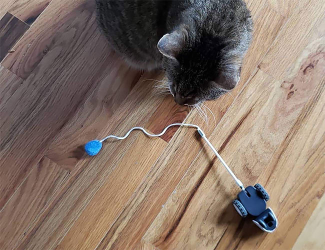 The Most Expensive Cat Toy That Your Cat Might Actually Play With
