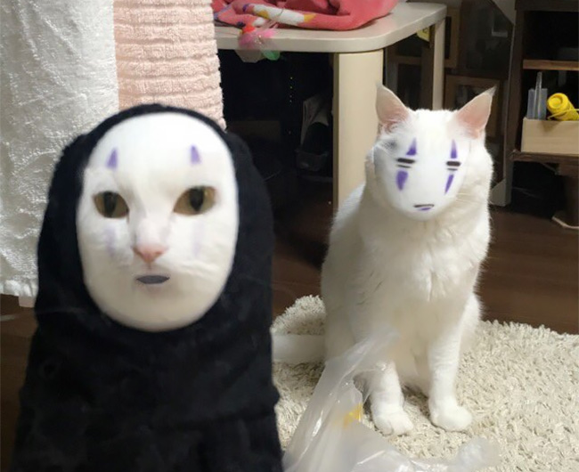This Is What Happens When You Face Swap A Cat With Spirited Away’s No