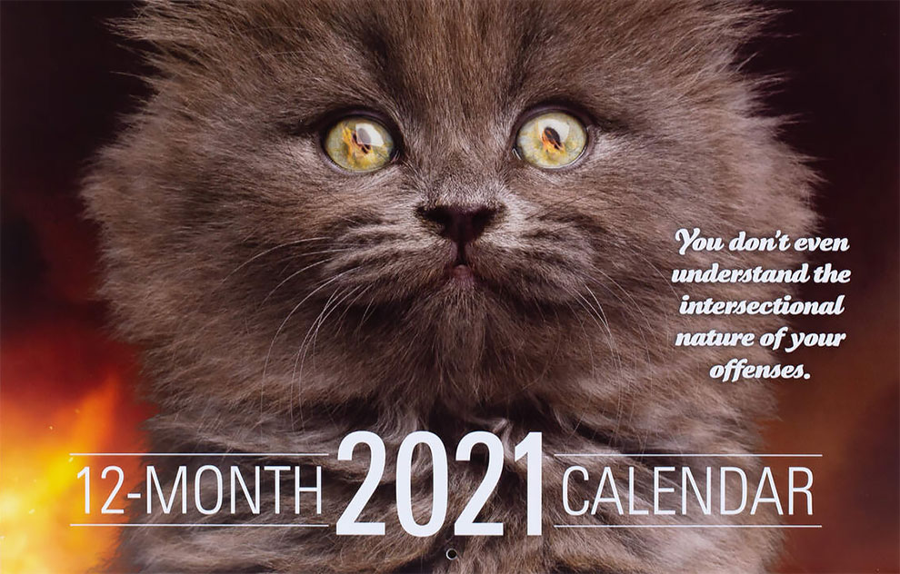 2021 Social Justice Kittens Calendar Is Here! » Design You Trust
