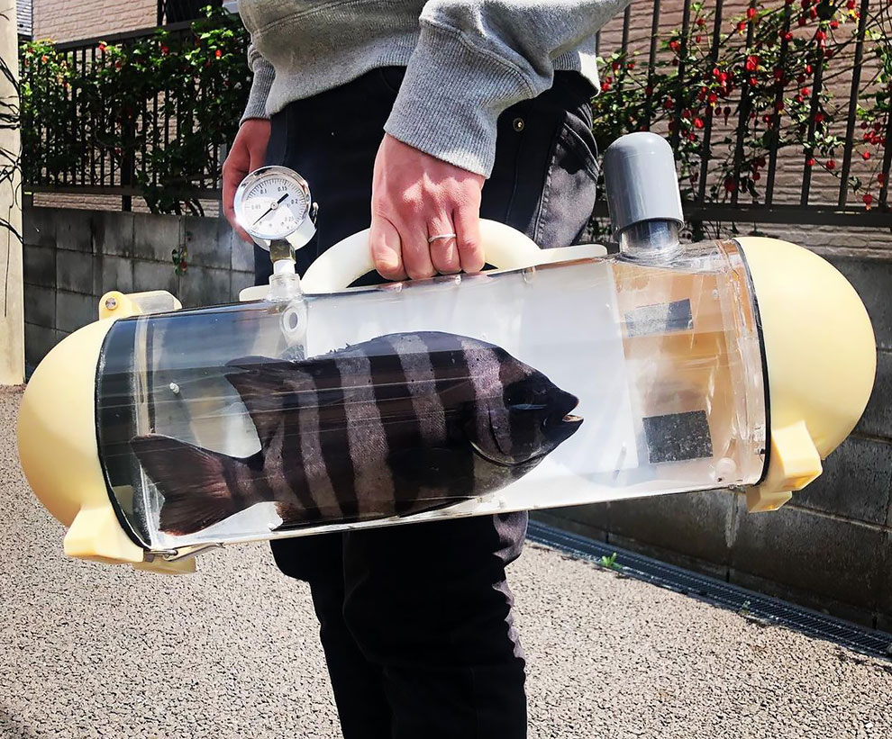 Want to Take Your Pet Fish for a Walk? There’s a Bag for That! » Design