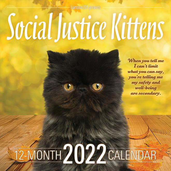 Seriously, 2022 Social Justice Kittens Calendar Is Here! » Design You Trust — Design Daily Since 2007