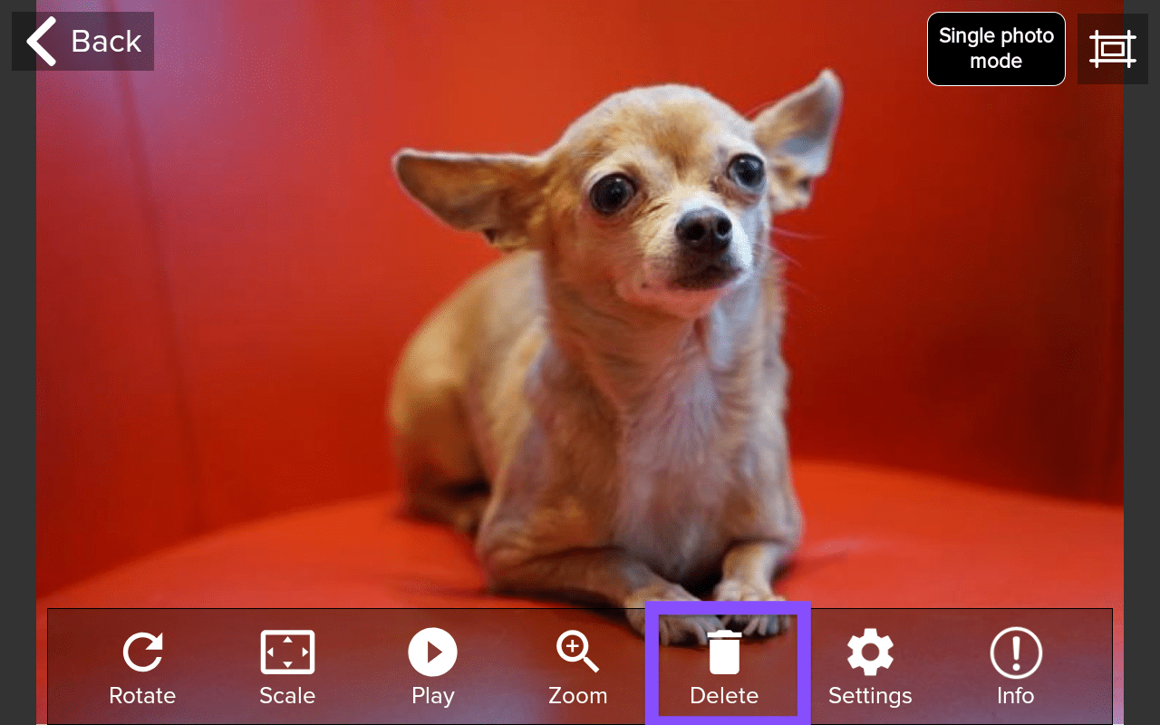 Deleting Unwanted Photos From Your PhotoShare Frame
