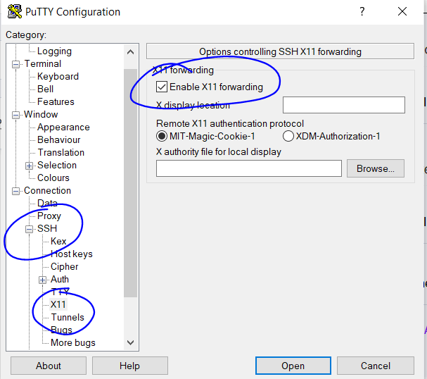 Putty Can't Open Display