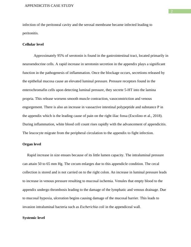 Appendicitis Case Study Pathophysiology, Growth and Development Theories, and Family Centred Care