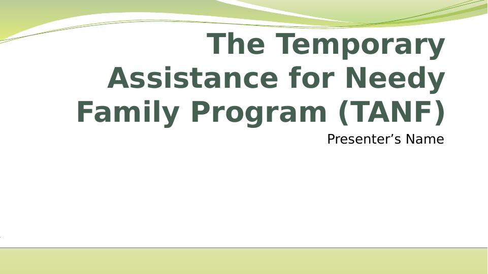 TANF Temporary Assistance for Needy Families Program