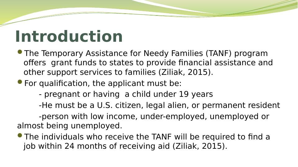 TANF Temporary Assistance for Needy Families Program