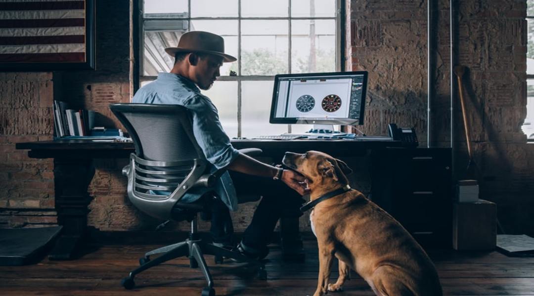 5 Reasons Why You Should Work in a DogFriendly Office