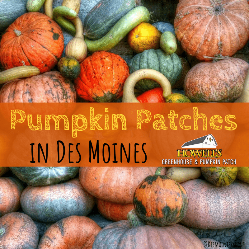 Giant List of Pumpkin Patches in Des Moines, Iowa