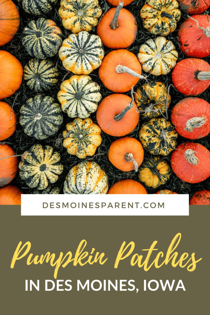 Giant List of Pumpkin Patches in Des Moines, Iowa
