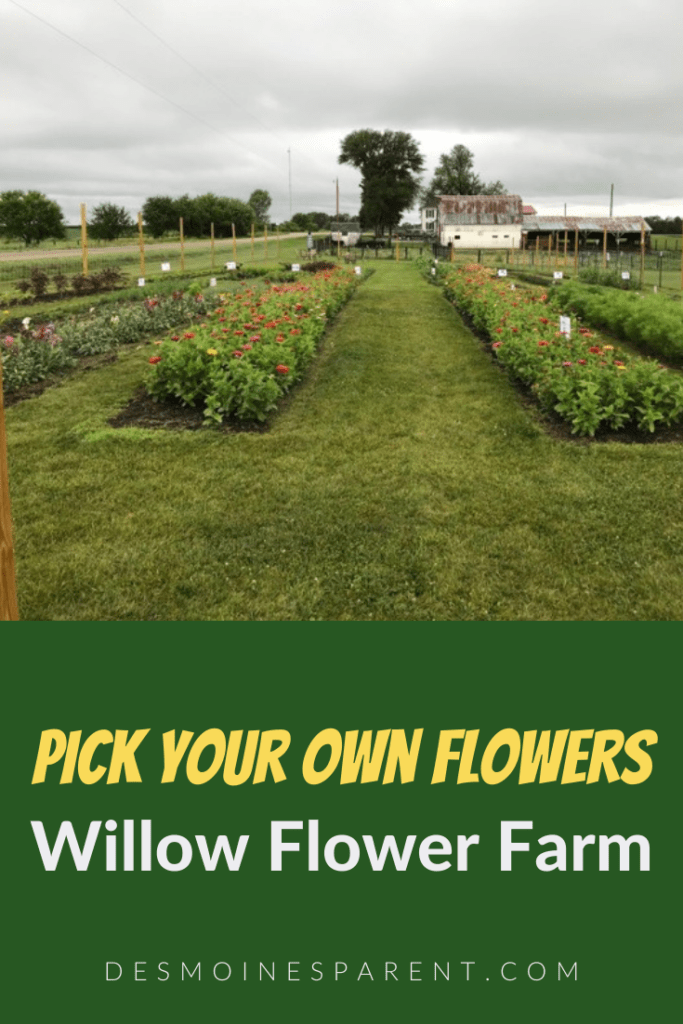 Pick Your Own Flowers Willow Flower Farm Des Moines Parent