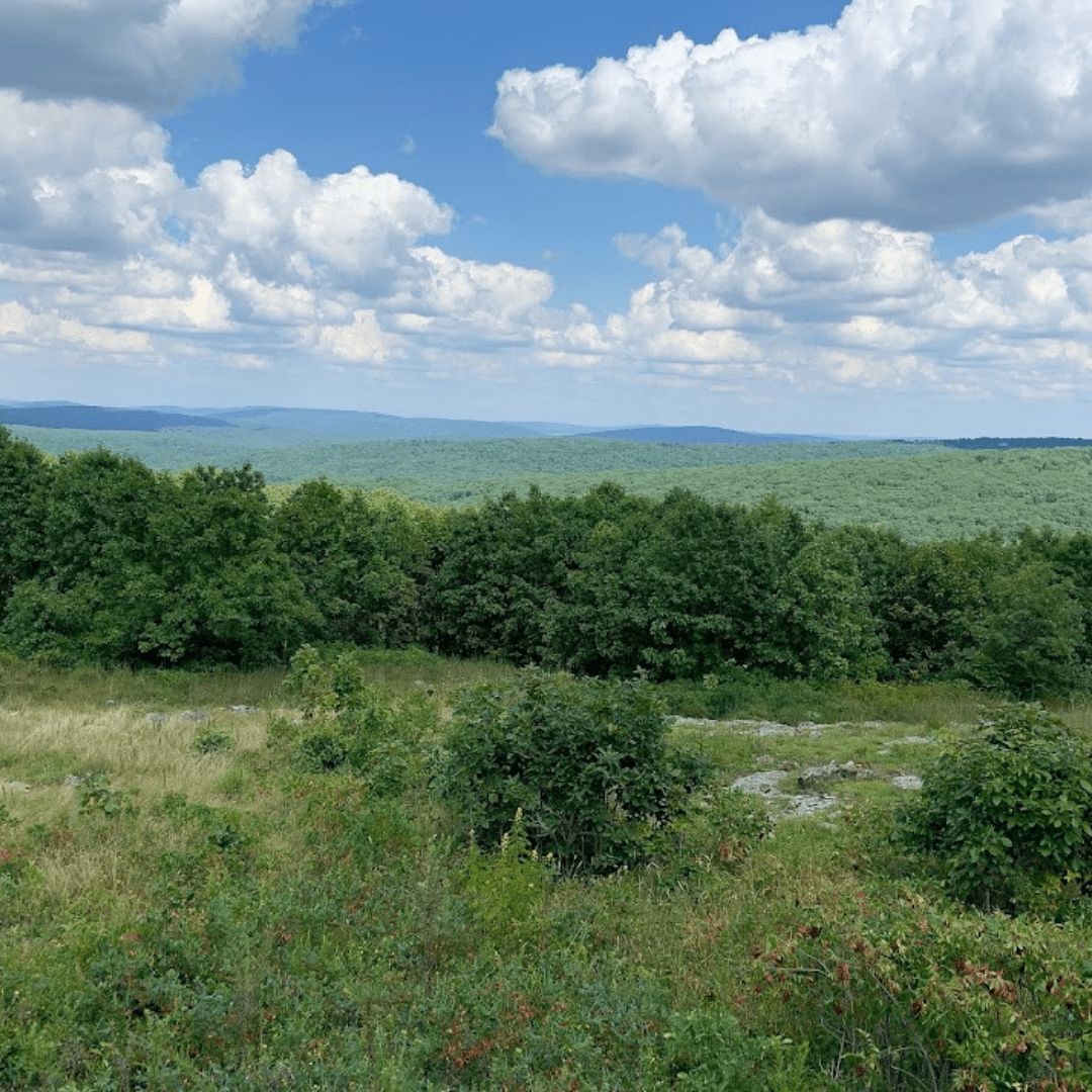 A Family Adventure Into Arcadia Valley, Missouri