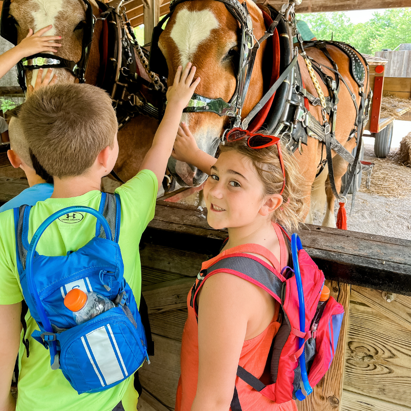 10 Things To Do at Deanna Rose Children’s Farmstead in Kansas