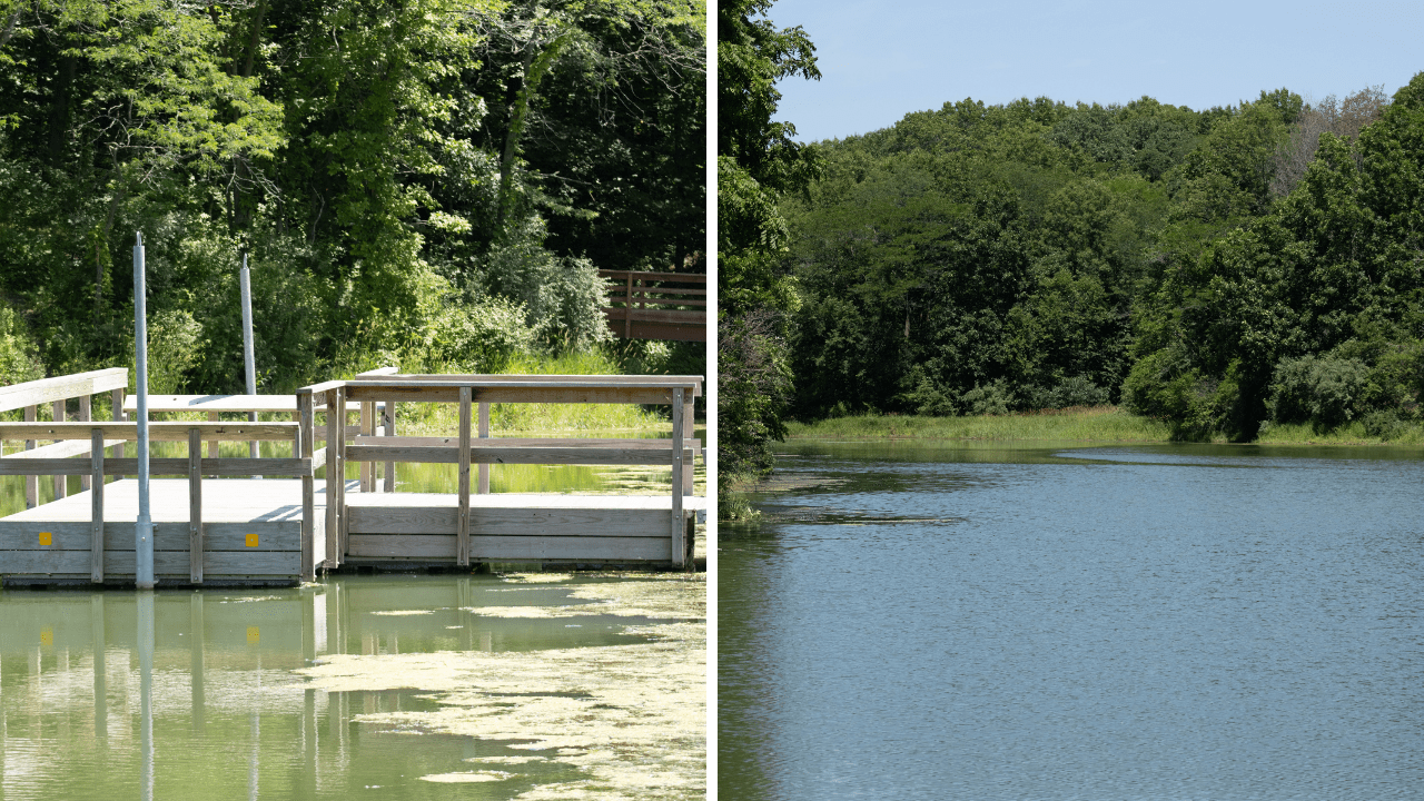 Connect with Nature, History, and Family at Yellow Banks