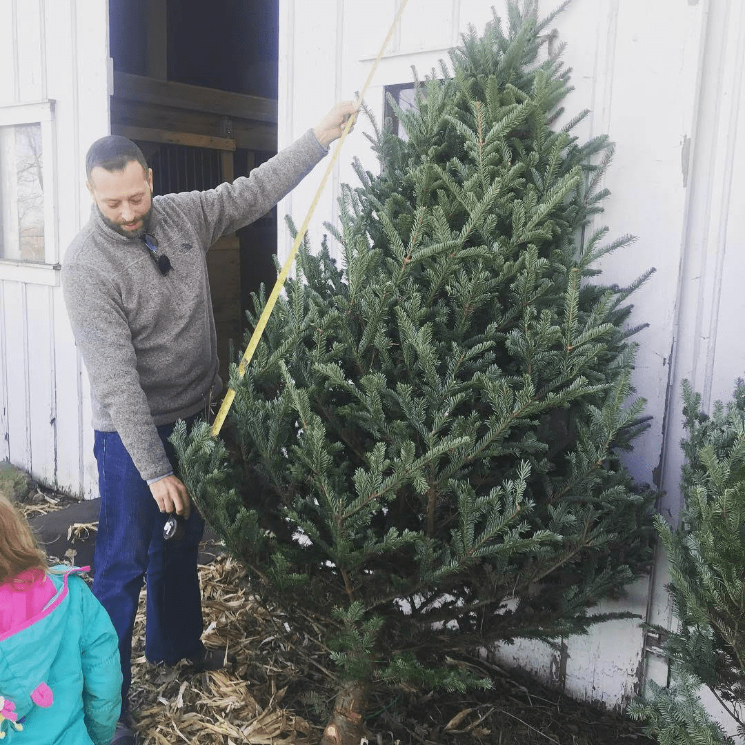 Christmas Tree Farms in Des Moines, Iowa