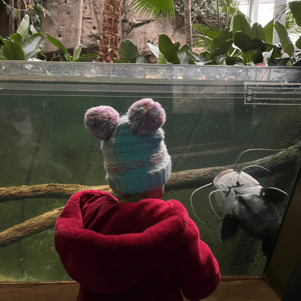 Blank Park Zoo in the Winter