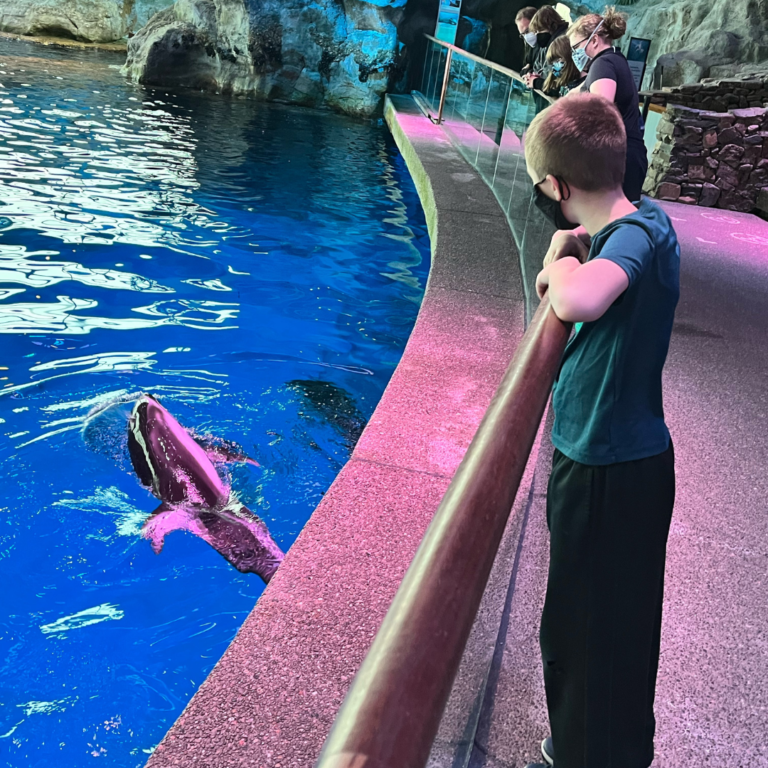 Aquariums in the Midwest