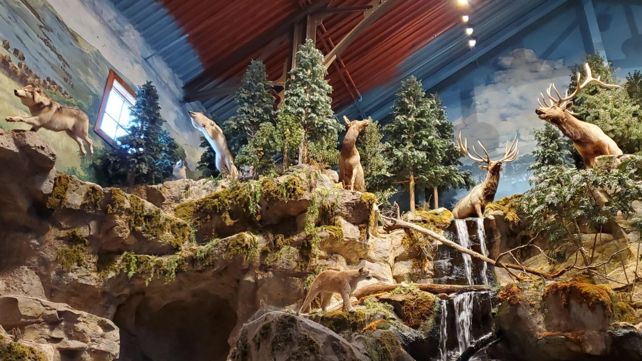 Bass Pro Shop Altoona for Kids Des Moines Parent