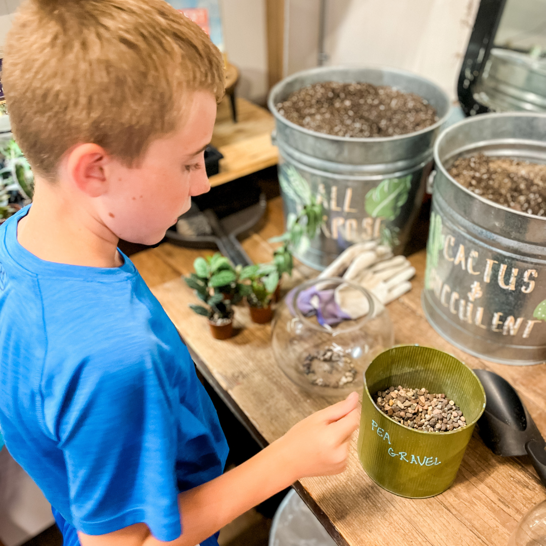 Des Moines Plant Stores