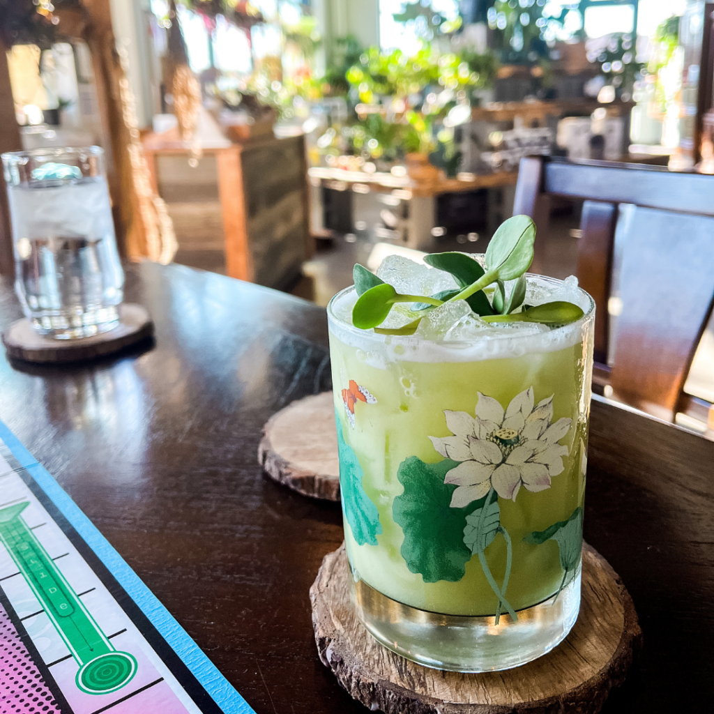 Des Moines Plant Stores