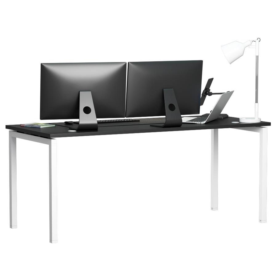 Gamers Desk Black and White Desqoo