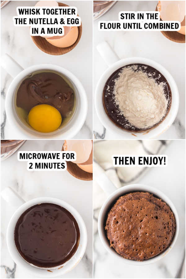 Nutella mug cake recipe (& VIDEO!) Desserts on a Dime